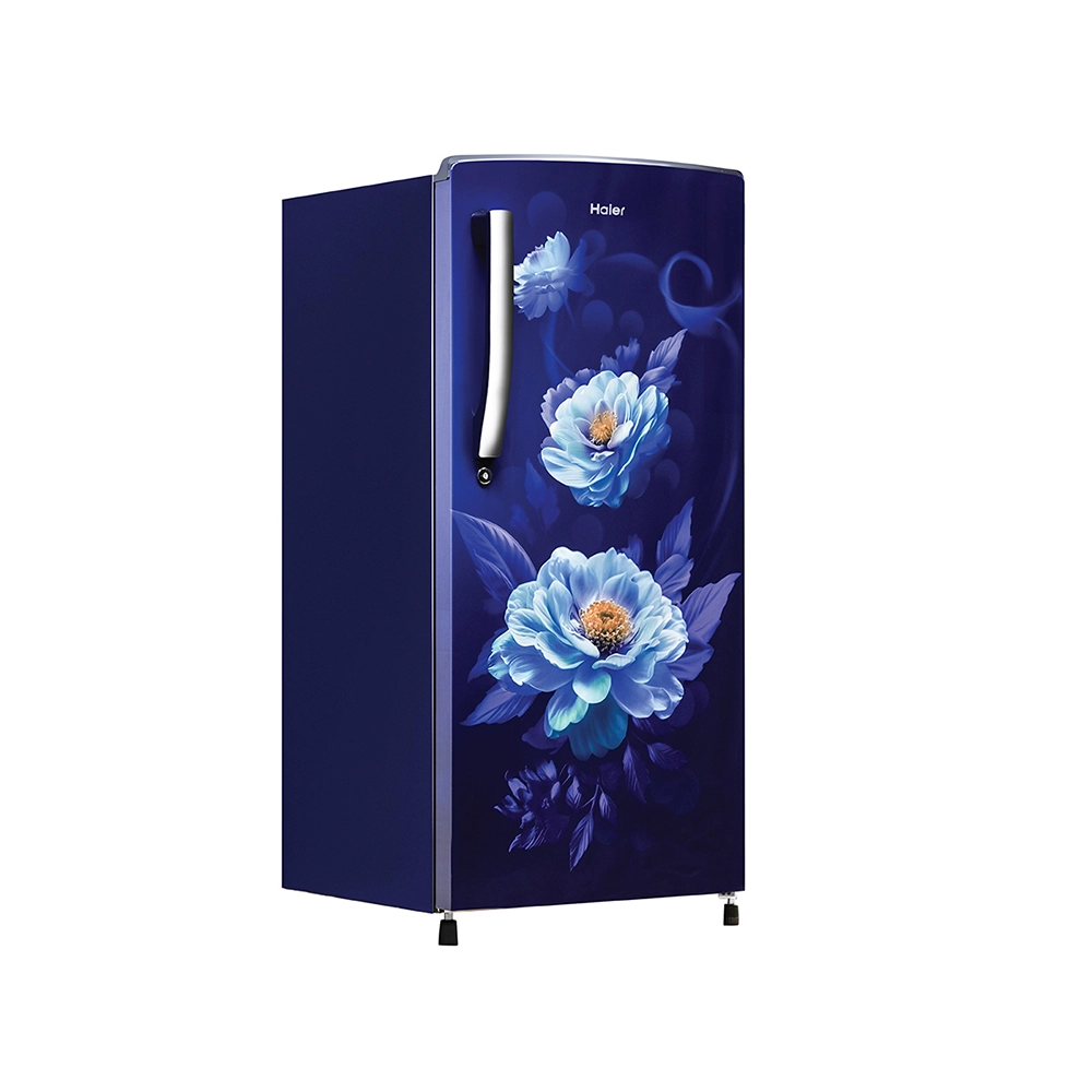 Haier 185L 2 Star Direct Cool Refrigerator - HRD-2062CMV-N